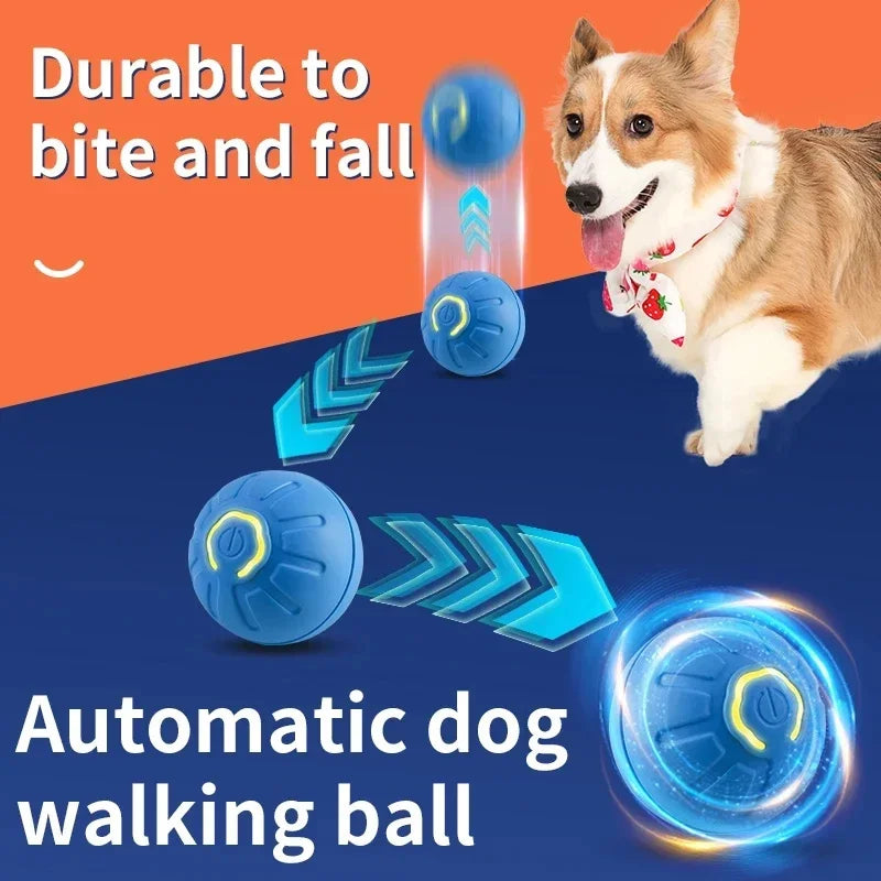 Balle interactive intelligente pour chien & chat – Balle rebondissante automatique USB 🐾