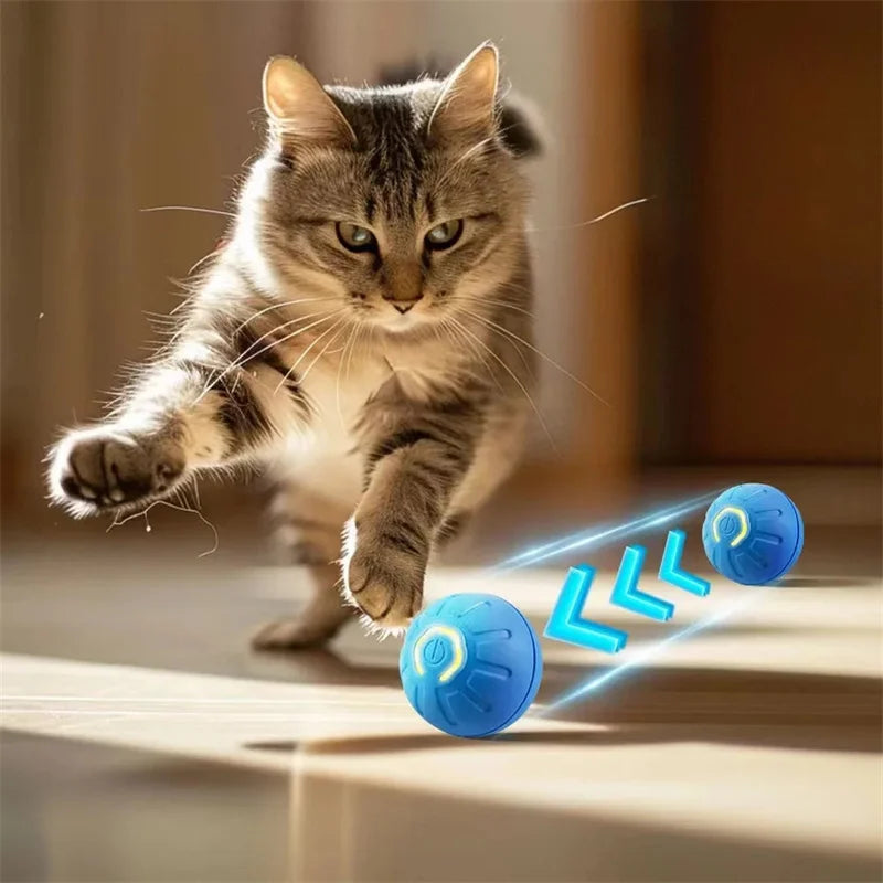 Balle interactive intelligente pour chien & chat – Balle rebondissante automatique USB 🐾