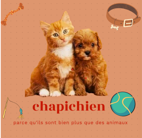 ChapiChien 